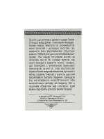  Амулет Шунгит